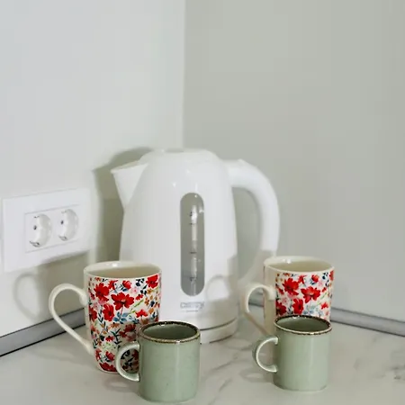 Stara Zaga 招待所