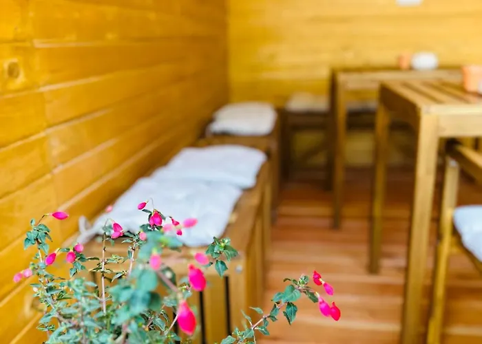 Stara Zaga Guest house