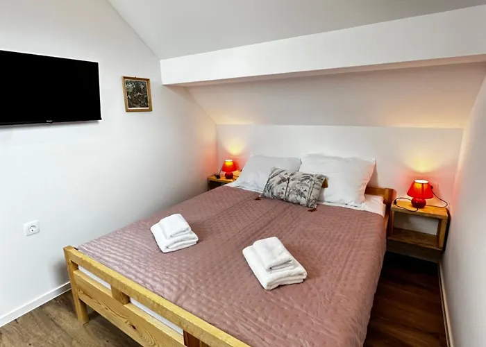 Stara Zaga Guest house