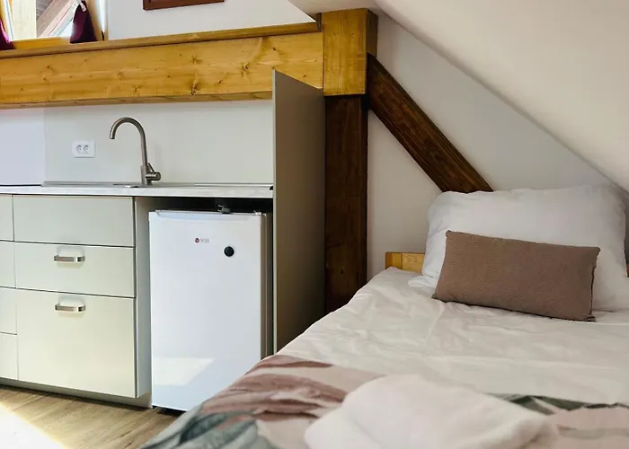 Stara Zaga Guest house Bled