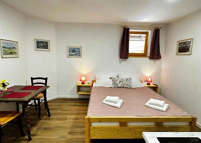 Stara Zaga Guest house 3*