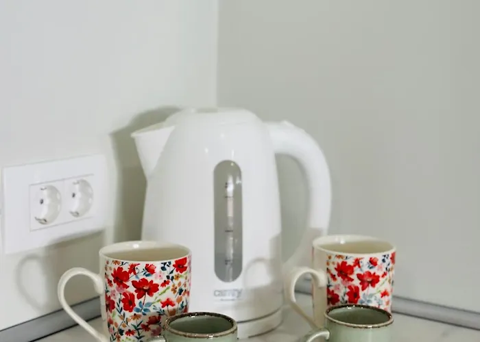 Stara Zaga Affittacamere